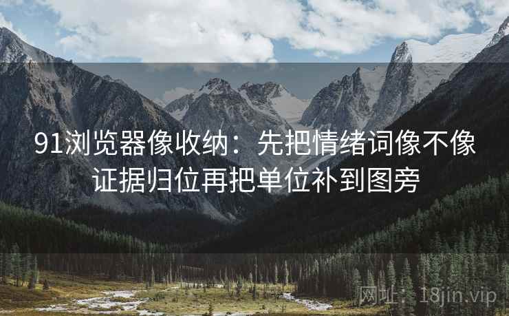91浏览器像收纳：先把情绪词像不像证据归位再把单位补到图旁